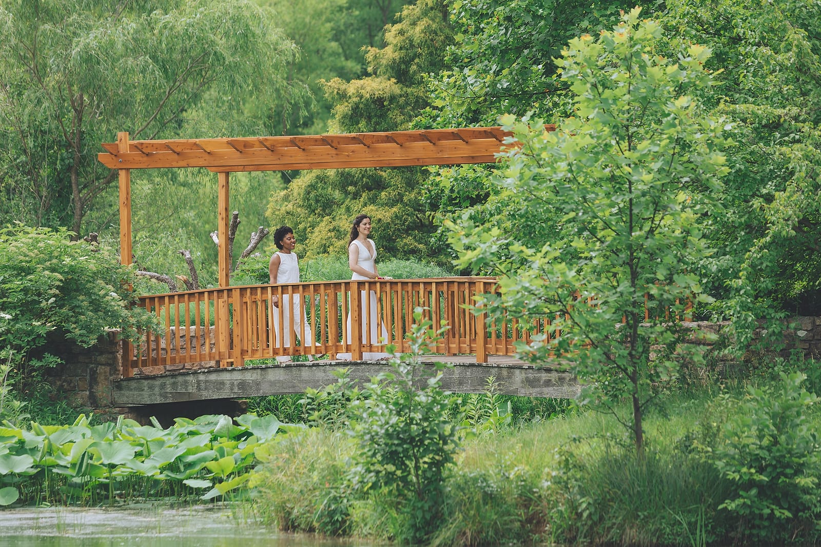 Two brides in white walking together across an arched wooden garden bridge over a lily pond